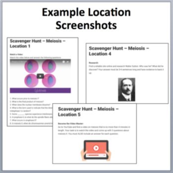 Meiosis – A Digital Scavenger Hunt Activity | Gametes, Zygotes, Chromosomes, image 2