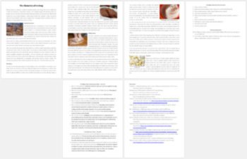 Chemistry of Cooking Reading | Reading Comprehension Passage - Grade 8 and Up, image 3