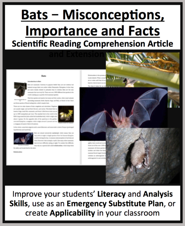 Bats – Misconceptions, Importance, & Ecolocation Reading Article - Grade 8 & Up