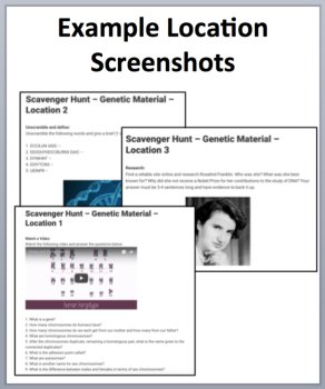 Genetic Material - DNA and RNA – A Digital Scavenger Hunt Activity, image 2