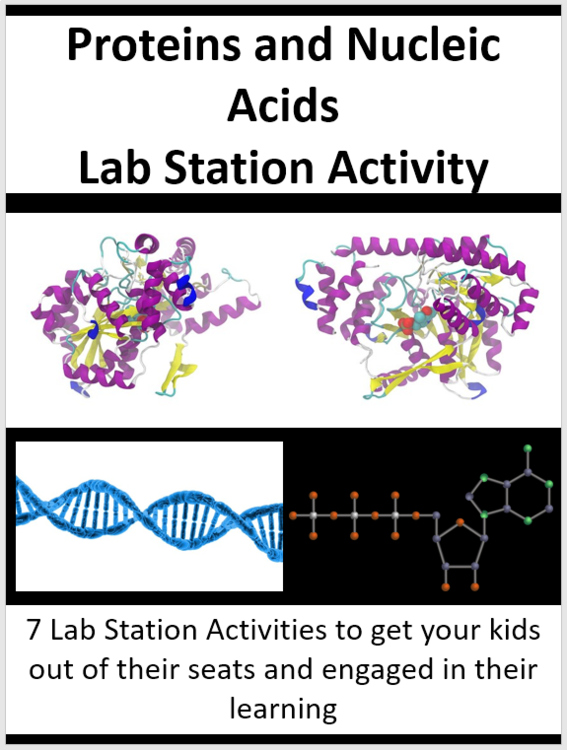 Proteins and Nucleic Acids Lab Station Activity | 7 Hands-on Activities