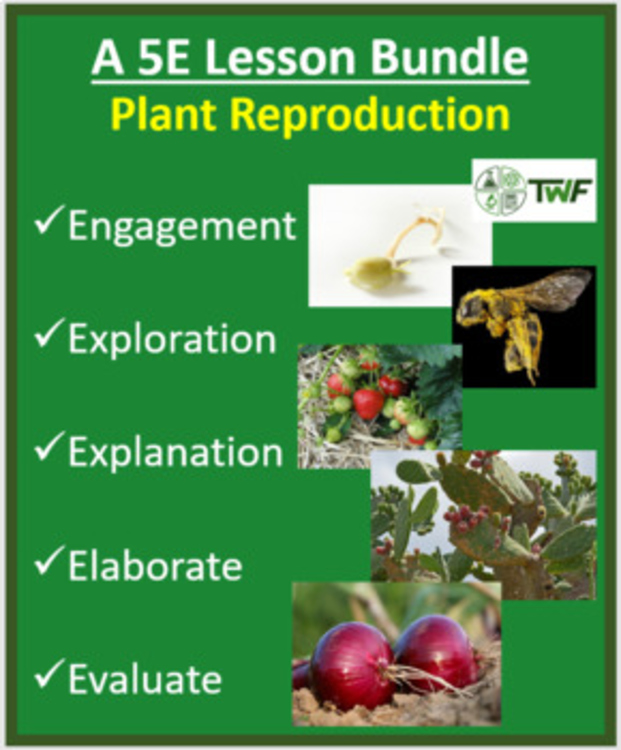 Plant Sexual and Asexual Reproduction 5E Lesson | Gametophytes, Pollinators