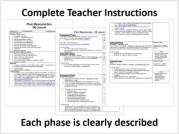 Plant Sexual and Asexual Reproduction 5E Lesson | Gametophytes, Pollinators, image 2