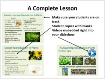 Plant Sexual and Asexual Reproduction 5E Lesson | Gametophytes, Pollinators, image 3