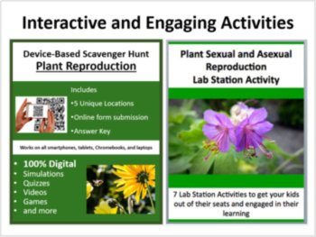 Plant Sexual and Asexual Reproduction 5E Lesson | Gametophytes, Pollinators, image 4