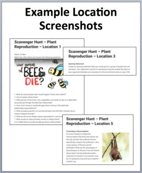Plant Reproduction Device-Based Scavenger Hunt Activity | Pollinators, image 2