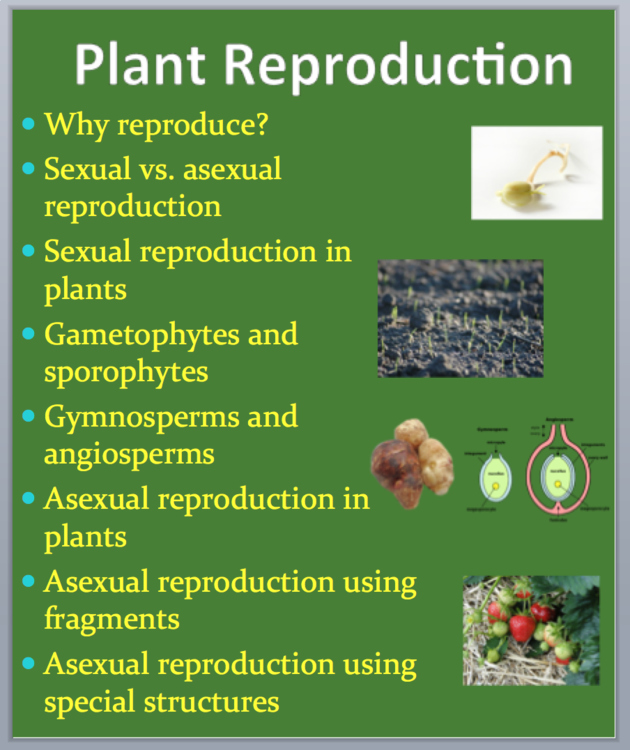 Plant Reproduction - A Grade 11 and Up Biology PowerPoint Lesson