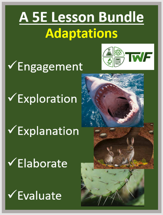 Physical and Behavioral Adaptations Complete 5E Lesson Bundle | Specific Habitat