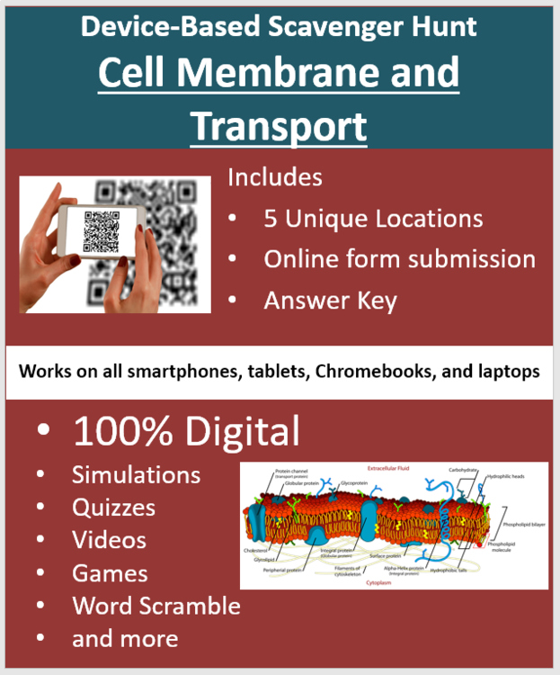 Cell Membrane and Transport Device-Based Scavenger Hunt Activity | Osmosis