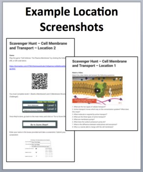 Cell Membrane and Transport Device-Based Scavenger Hunt Activity | Osmosis, image 2