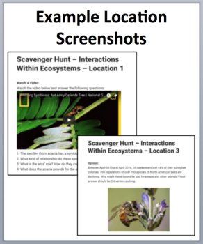 Interactions Within Ecosystems – A Device-Based Scavenger Hunt Activity, image 2