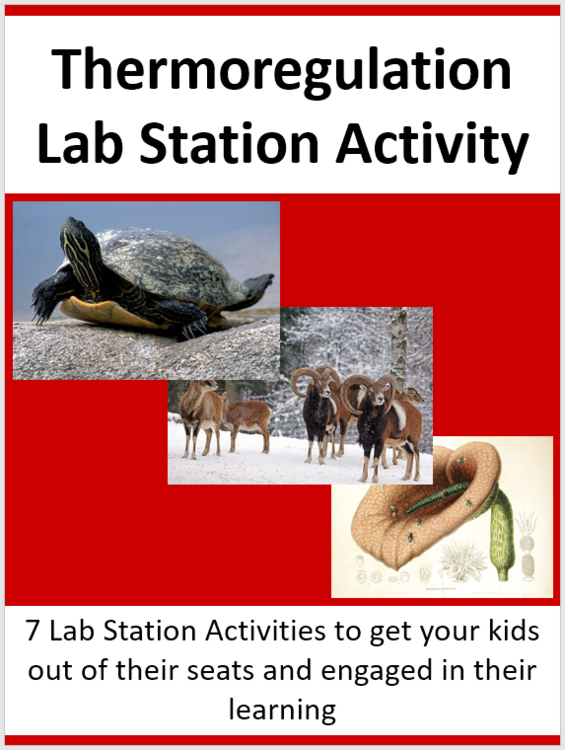 Thermoregulation Lab Station Activity | 7 Hands-on Activities | Ectotherms, Endo