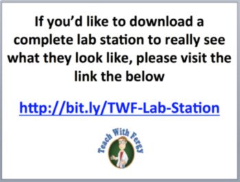 Thermoregulation Lab Station Activity | 7 Hands-on Activities | Ectotherms, Endo, image 4