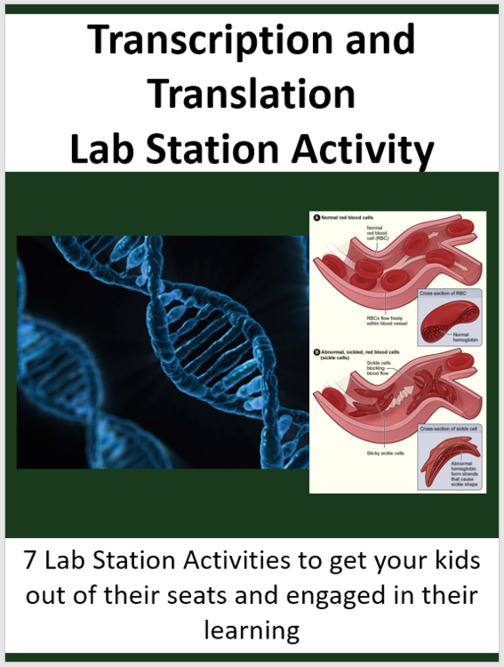 Transcription and Translation - Protein Synthesis 7 Lab Station Activities