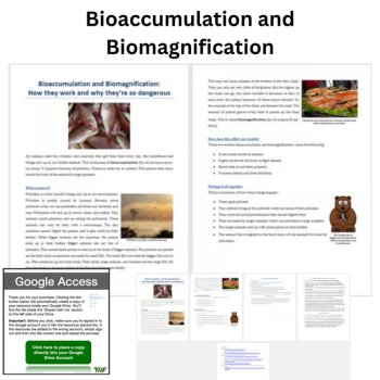 Bioaccumulation and Biomagnification Reading Passage & Questions | 6th, 7th, 8th, image 2