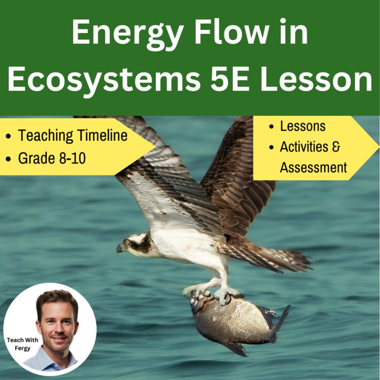 Energy Flow in Ecosystems 5E Lesson Bundle | Photosynthesis Cellular Respiration