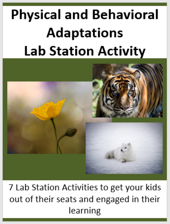 Physical and Behavioral Adaptations Lab Station Activity | 7 Hands-on Activities