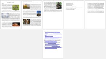 Physical Adaptations Reading Comprehension Passage & Questions | Grade 8 and Up, image 3