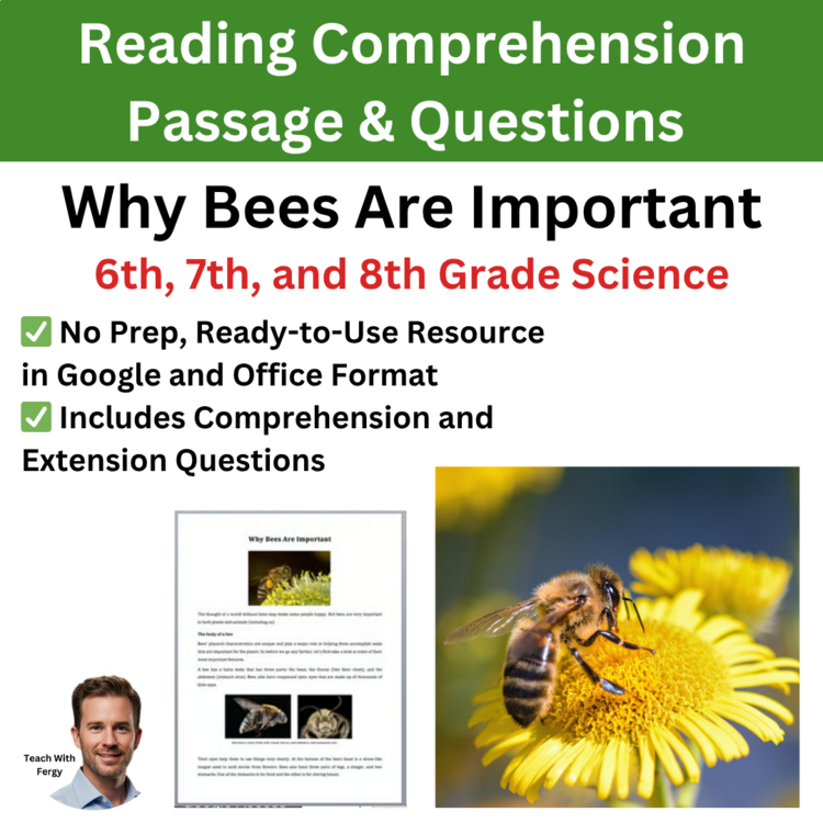Why Bees Are Important Reading Comprehension Passage & Questions | 6th, 7th, 8th