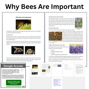 Why Bees Are Important Reading Comprehension Passage & Questions | 6th, 7th, 8th, image 2