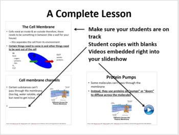 Cell Membrane and Transport 5E Lesson Bundle | Hypotonic, Hypertonic, Isotonic, image 3
