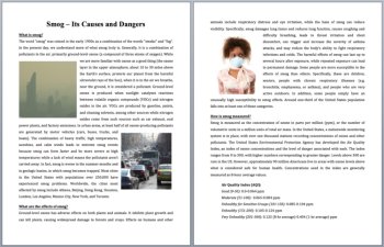 Smog - Its Causes and Dangers Reading Comprehension | Grade 8 and Up, image 2
