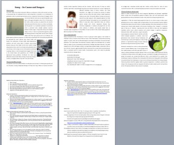 Smog - Its Causes and Dangers Reading Comprehension | Grade 8 and Up, image 3