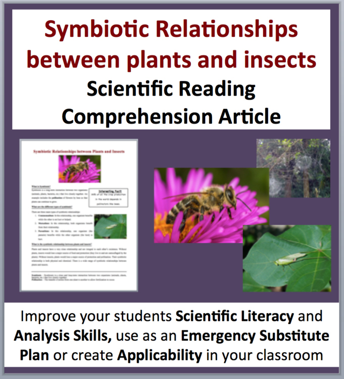 Symbiotic Relationships Between Plants and Insects - Science Reading Article
