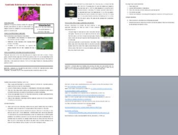 Symbiotic Relationships Between Plants and Insects - Science Reading Article, image 3
