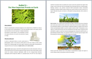 RuBisCO - Earth's Most Important Protein Science Reading Article | Grade 8 & Up, image 2