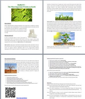 RuBisCO - Earth's Most Important Protein Science Reading Article | Grade 8 & Up, image 3
