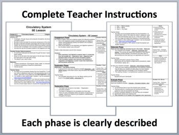 The Circulatory System Complete 5E Lesson Bundle | Human Body Systems, image 2