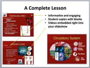 The Circulatory System Complete 5E Lesson Bundle | Human Body Systems, image 3