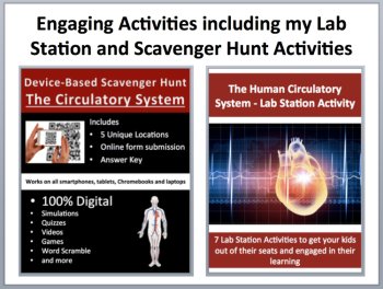 The Circulatory System Complete 5E Lesson Bundle | Human Body Systems, image 4