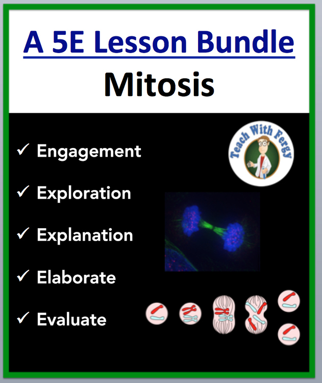 Mitosis and the Cell Cycle - Complete 5E Lesson Bundle | Mitosis and Cytokinesis