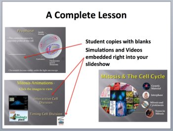 Mitosis and the Cell Cycle - Complete 5E Lesson Bundle | Mitosis and Cytokinesis, image 3