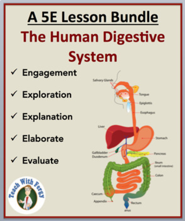 The Human Digestive System Complete 5E Lesson Bundle | Human Body Systems