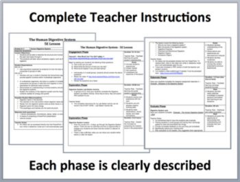 The Human Digestive System Complete 5E Lesson Bundle | Human Body Systems, image 2
