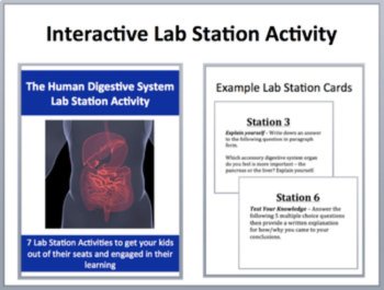 The Human Digestive System Complete 5E Lesson Bundle | Human Body Systems, image 4