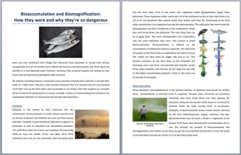 Bioaccumulation and Biomagnification - Science Reading Article - Grade 8 and Up, image 2