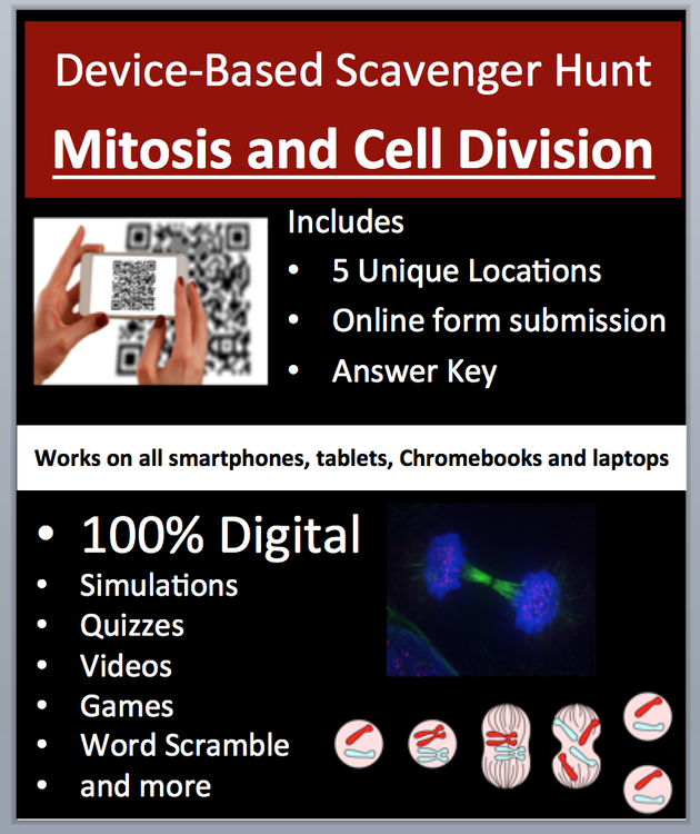 Mitosis and Cell Division – Device-Based Scavenger Hunt Activity |