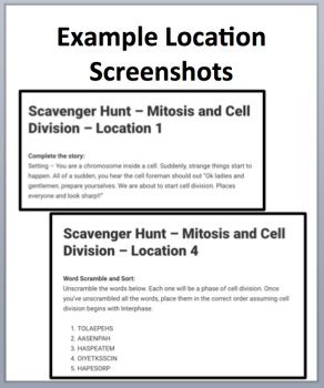 Mitosis and Cell Division – Device-Based Scavenger Hunt Activity |, image 4