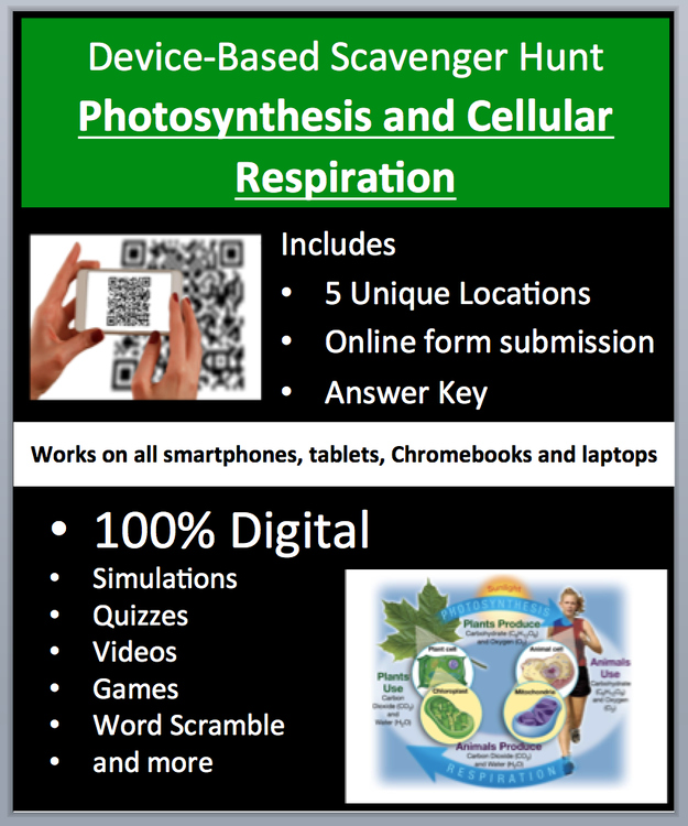 Photosynthesis and Cellular Respiration Digital Scavenger Hunt Activity