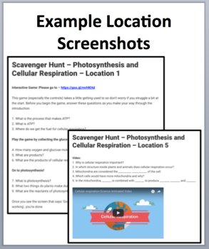 Photosynthesis and Cellular Respiration Digital Scavenger Hunt Activity, image 4