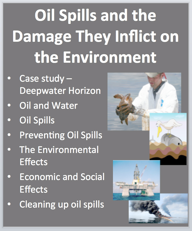 Oil Spills and the Damage They Inflict Lesson | Causes, Effects, and Cleaning Up