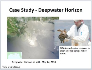 Oil Spills and the Damage They Inflict Lesson | Causes, Effects, and Cleaning Up, image 2