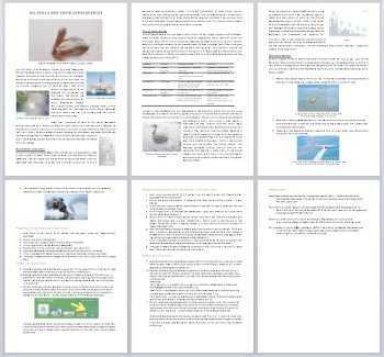 Oil Spills and Their Consequences - Science Reading Article - Grade 8 and Up, image 3