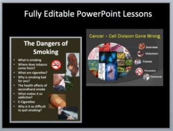 Cancer and Smoking - Lesson, Lab Stations, Readings and Activity Bundle, image 2