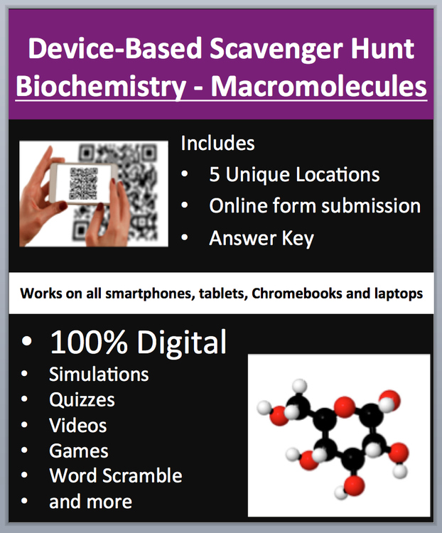 Biochemistry - Macromolecules Digital Scavenger Hunt Activity | Biomolecules