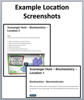 Biochemistry - Macromolecules Digital Scavenger Hunt Activity | Biomolecules, image 4
